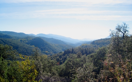 Unspoilt wild nature in the interior of Girona